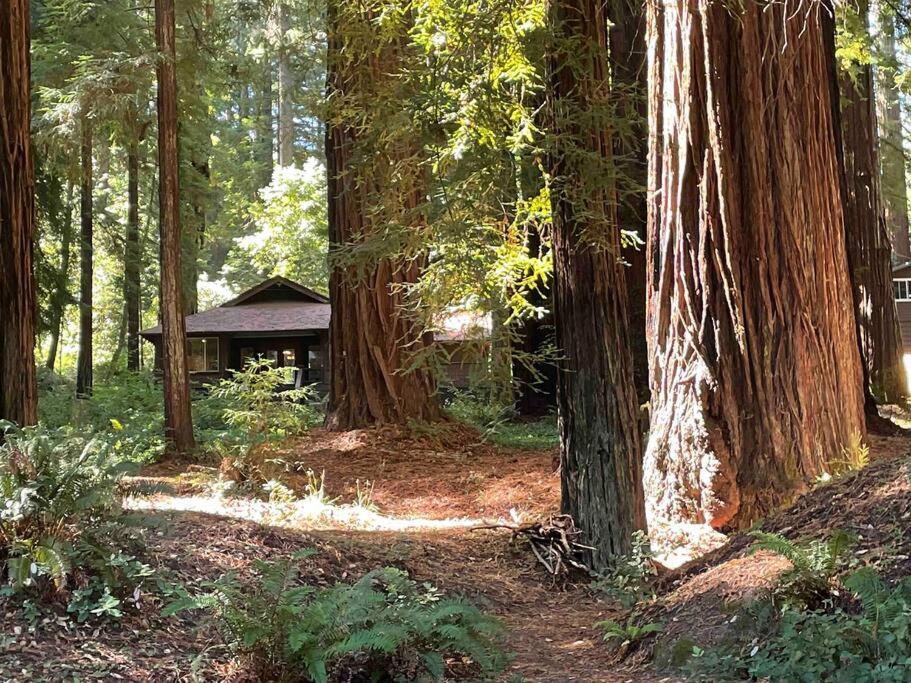 Holiday home The Groves At - Craftsman Redway